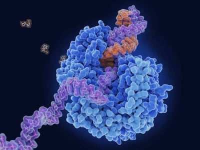 FSIGHT-OMICS-Flashseq_User-friendly-automation-of-full-length-1024x768