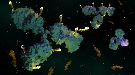 CYTENA - Antibody-Drug Conjugates - 16kb