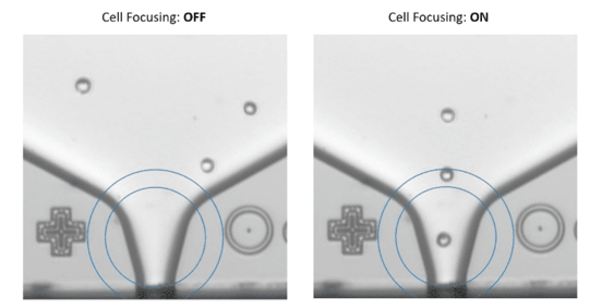 CYTENA - C.STUDIO - Cell focusing - 188kb