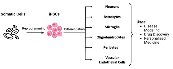 CYTENA - Cellular Reprogramming - 32kb
