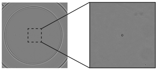 CYTENA - UP.SIGHT - dual imaging technology - 103kb