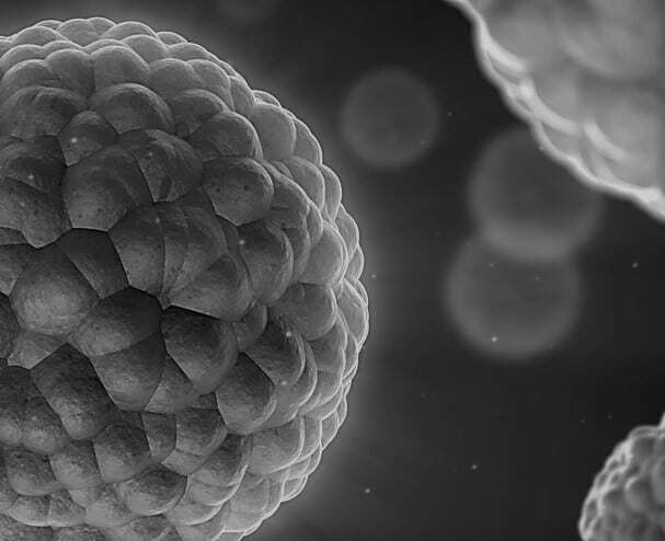Cell-Based Assays