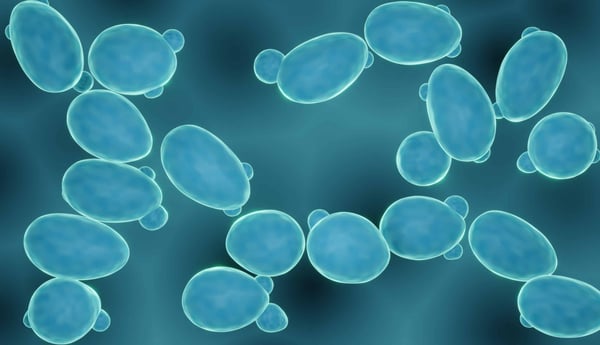Protein-expression-in-microbial-systems-2-scaled