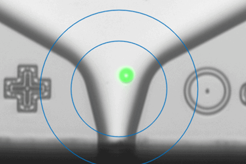 Single-Cell-Isolation-Blog