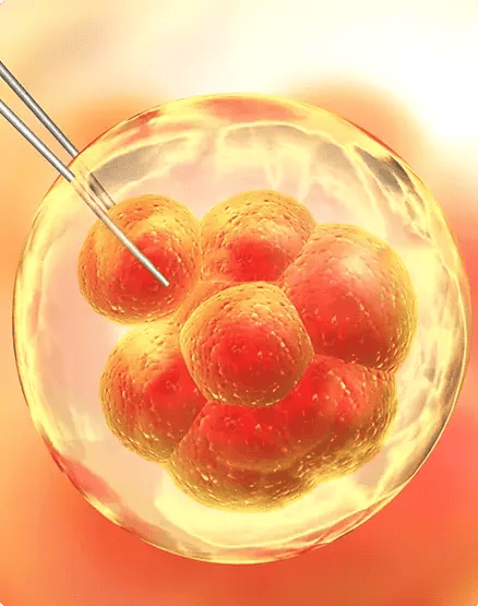 cell-therapy-overview-img