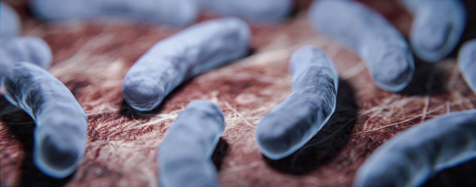 Bacteria pink blue