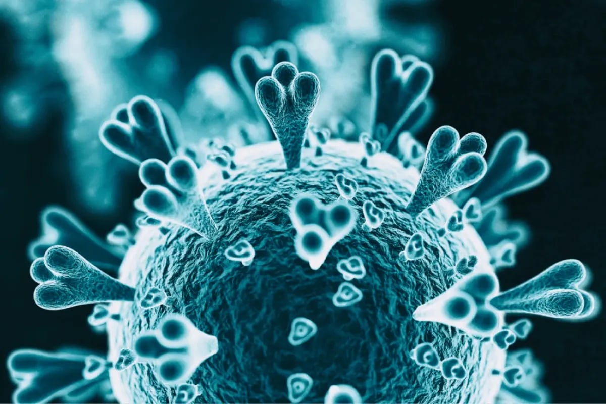 Monoclonal Antibody Production mAb