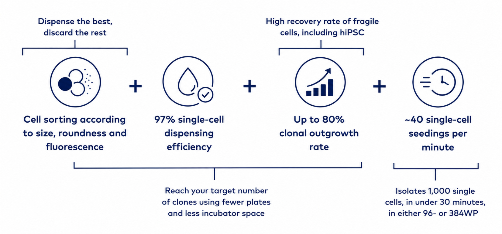 CLD _ Cell Sorting and Single-Cell Efficiency Infographic CLD _ Cell Sorting and Single-Cell Efficiency Infographic