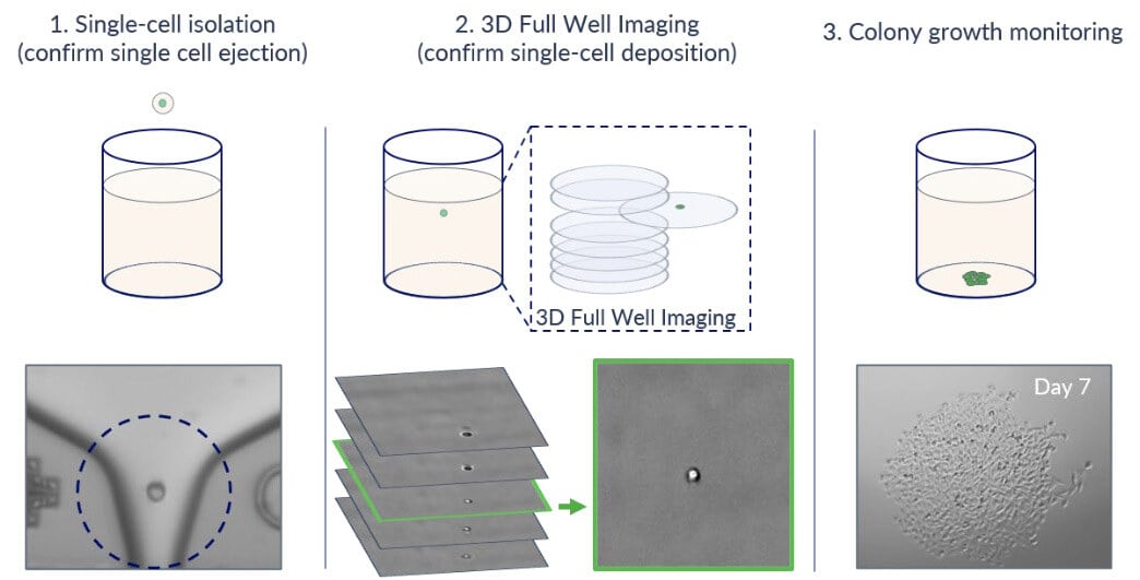 CYT | UP.SIGHT_-_Combined_single-cell_dispensing_and_3D_full_well___img-004