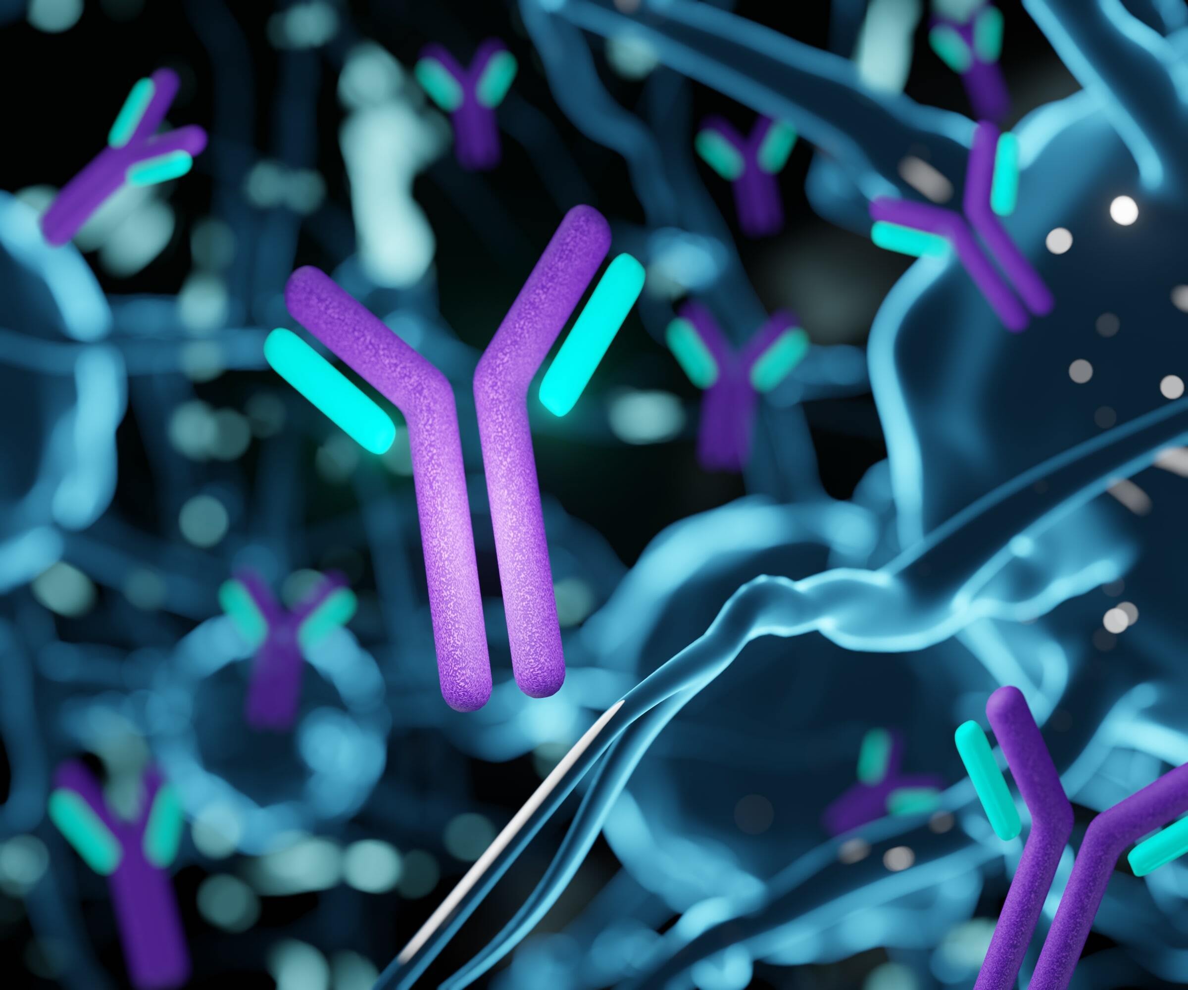 monoclonal antibodies