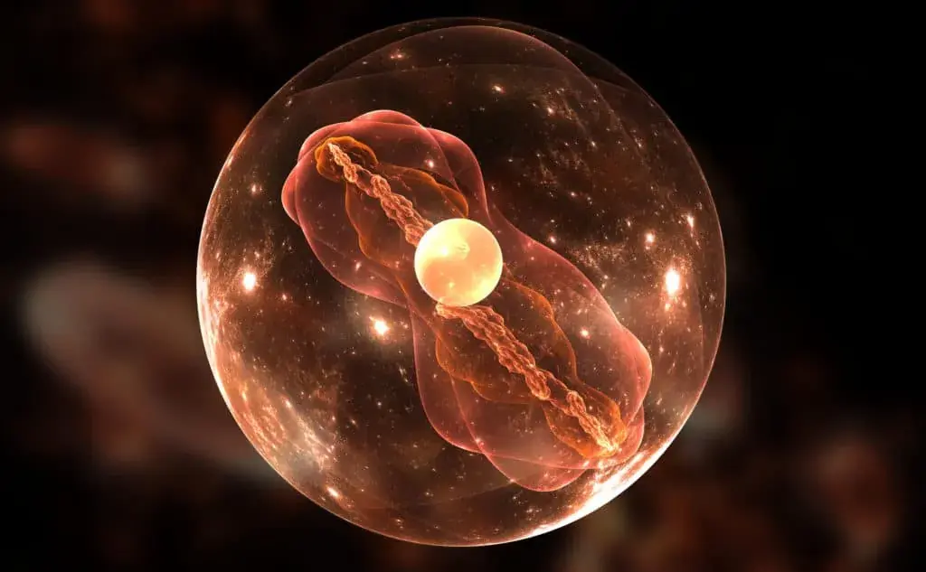 UP.SIGHT-Combined-Single-cell-Dispensing-and-3D-Full-Well-Imaging-for-Cell-Lines-1024x633