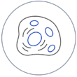 icon_Cell Identification (1) icon_Cell Identification (1)