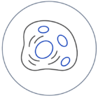 icon_Cell-Identification icon_Cell-Identification