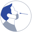 icon_covid-nasal-swab-110x110 icon_covid-nasal-swab-110x110