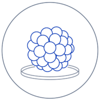 icon_Multiple Cell -Printing icon_Multiple Cell -Printing