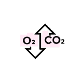 BICO_Icons-RGB_anaerobic BICO_Icons-RGB_anaerobic