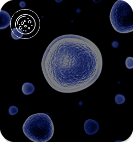 Cell linedevelopment