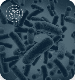 Protein expression in microbial system