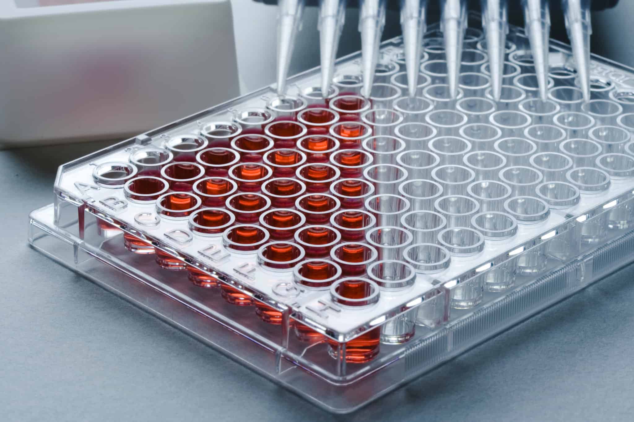C.NEST Investigation of a multiscale microplatebased culture system