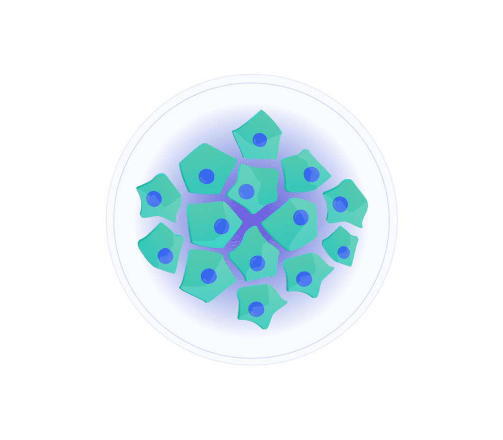 Live Cell Imaging And Analysis - CYTENA - CYTENA