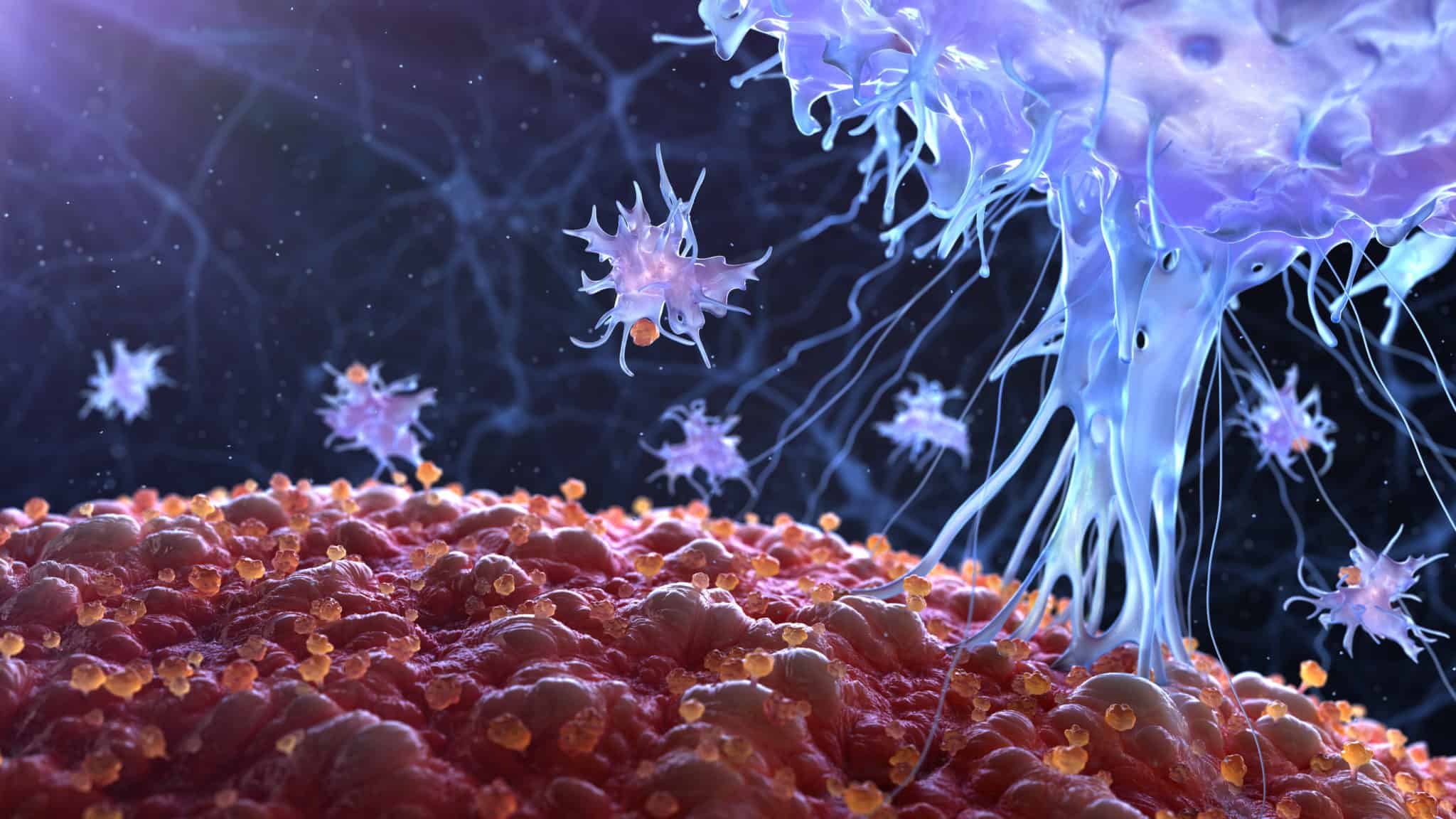 CELLCYTE X Quantitative live cell imaging assays for immunology CYTENA