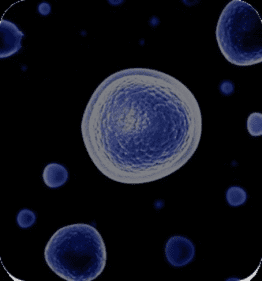 Cell line development